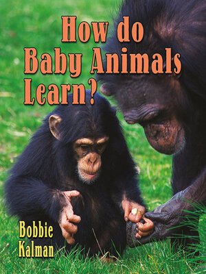 cover image of How Do Baby Animals Learn?